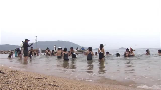 津田の松原海水浴場が開設中止決定…十分な感染防止対策がとれず有明浜も中止決定【香川・さぬき市】