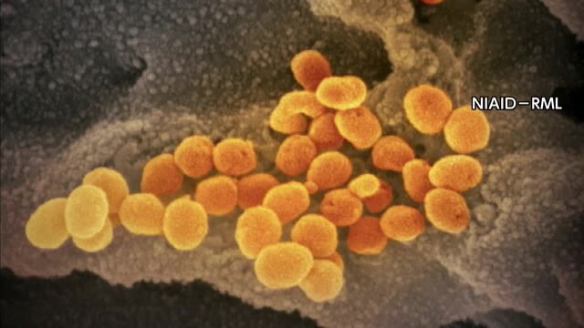 岡山県で２７人　香川県で３人　新たに新型コロナウイルス感染確認【岡山・香川】