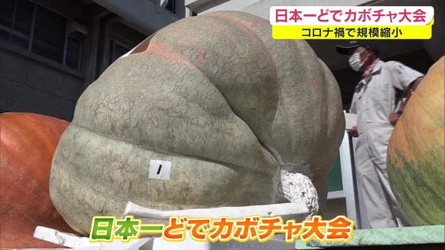 日本一は驚きの重さに…  小豆島で「どでカボチャ大会」  コロナ禍データ参加も可能に【香川・土庄町】