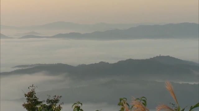 盆地一帯が霧の海に　幻想的“雲海”広がる　霧が作り出す絶景【岡山・津山市】
