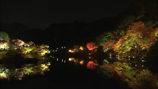 照らされる名園の紅葉　秋の夜を彩る　栗林公園秋のライトアップ【香川・高松市】