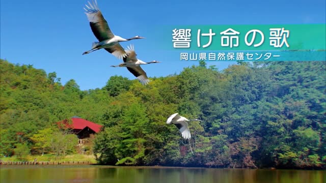自然保護への理解を…県自然保護センターがＰＲ動画を公開　タンチョウ飼育の様子も紹介【岡山・和気町】