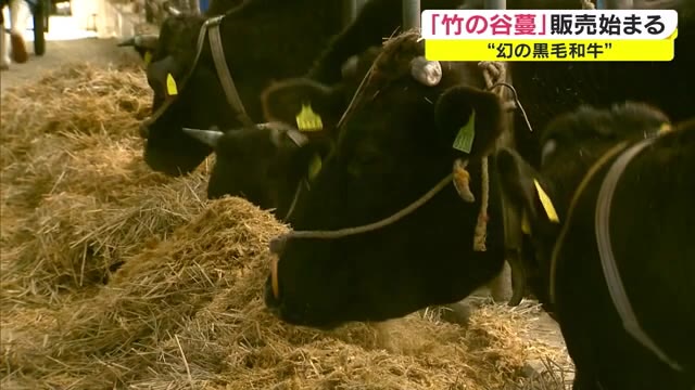 “日本最古”幻の黒毛和牛「竹の谷蔓」販売開始　１年にわずか１頭のみ【岡山・津山市】