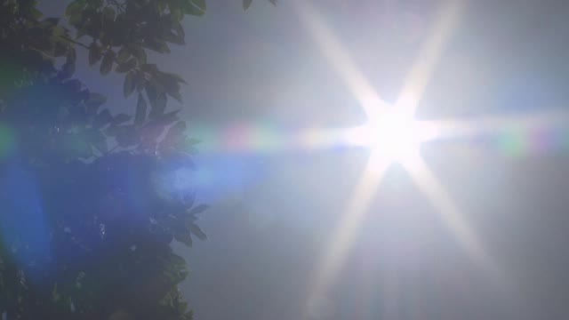 香川に「熱中症警戒アラート」　１１日は危険な暑さ　予想最高気温…高松３５度【香川】