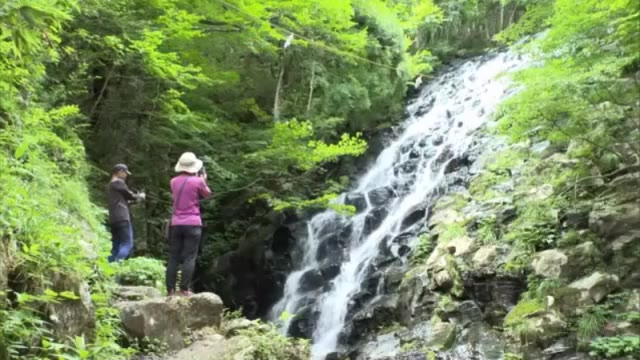 心地よい滝の音に青々とした葉、そして水しぶき…津山市を代表する避暑地「布滝」に涼を求める【岡山】