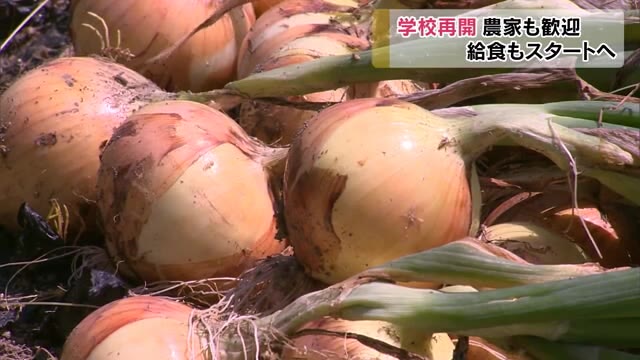 学校再開で喜ぶのは児童だけではない！給食用の野菜を栽培する農家も喜ぶ【岡山・津山市】