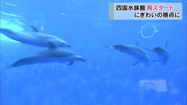 感染拡大防止で休館の四国水族館再開　消毒や入館人数の制限も…【香川・宇多津町】