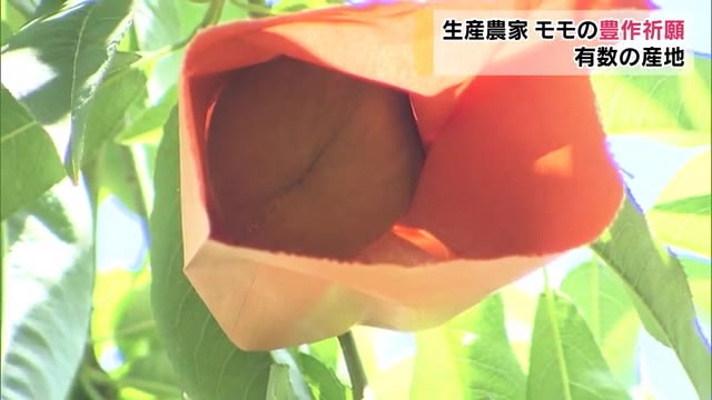モモの豊作祈願祭　新型コロナの収束も願って…【岡山・岡山市】