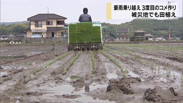 被災地のコメ農家…父の思いをくんで今年も田植えに精をだす【岡山・倉敷市】