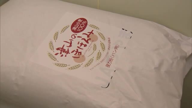 パンに適した新品種！津山産小麦ブランド「せときらら」収穫始まる【岡山・津山市】