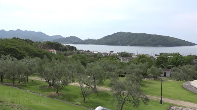 観光の島に明るい兆し！小豆島で新商品の販売本格スタート【香川】