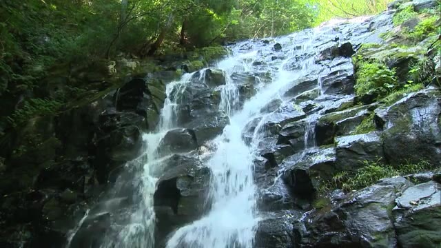 涼やかな空間を演出…滝と森林浴が楽しめる納涼スポット「布滝」【岡山・津山市】