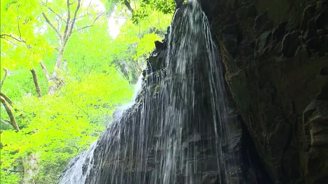 裏からも見られます！岡山県北の岩井滝【岡山・鏡野町】