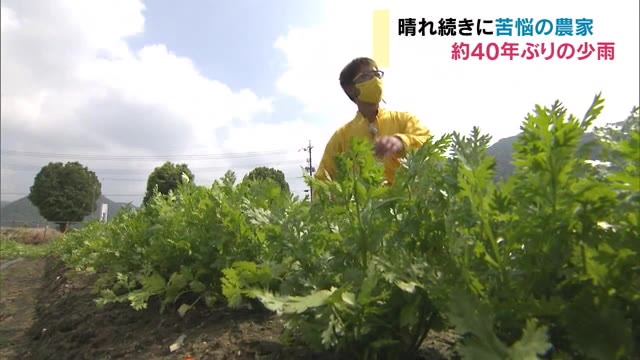 「今年の夏は異常」約４０年ぶりの少雨で農家苦悩【岡山】