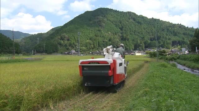 岡山県北で一足早い秋の訪れ…早場米の稲刈り始まる【岡山・西粟倉村】