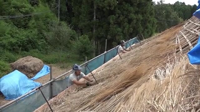 ベンガラの生産で栄えた高梁市吹屋地区…古民家の茅葺き屋根ふき替え作業を公開【岡山・高梁市】