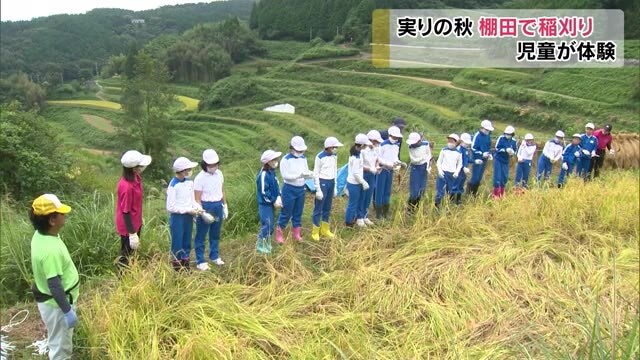 コメ作りは愛情が必要…日本の棚田百選で児童が稲刈り体験【岡山・久米南町】
