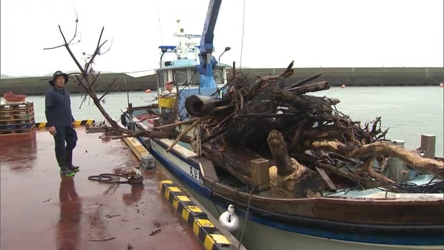 美しい瀬戸内海を守れ　漁業関係者が海ごみを回収【岡山・笠岡市】