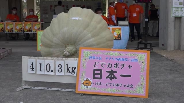優勝は何キロ？カボチャの重さを競う「どでカボチャ」大会【香川・小豆島】