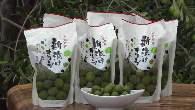 日本一のオリーブの産地香川・小豆島で新漬けの袋詰め作業【香川・小豆島町】