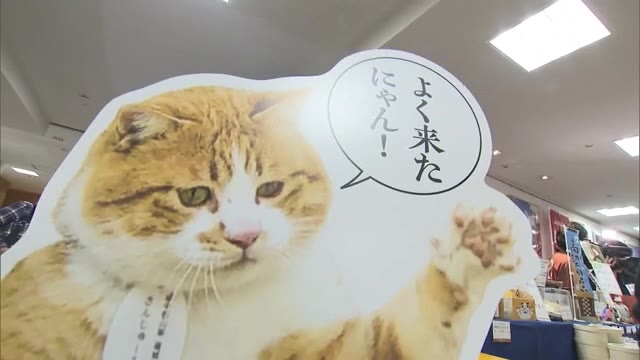 伝統工芸品やお菓子が約１２０種類！高梁市のグルメや工芸品を集めた物産展【岡山・岡山市】