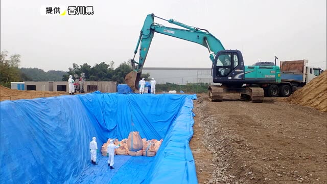 鳥インフルエンザ　殺処分したニワトリを埋める作業始まる【香川・三豊市】