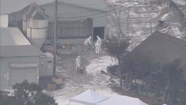 三豊市に続き…東かがわ市でも鳥インフルエンザ発生【香川・東かがわ市】