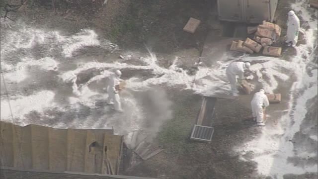 鳥インフルエンザ発生した三豊市と東かがわ市の養鶏場　ニワトリ殺処分完了【香川】