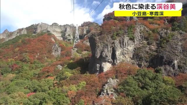 美しく色づいた木々…日本三大渓谷美の一つ、寒霞渓の紅葉見頃【香川・小豆島町】