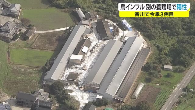 最初の発生から１週間…別の養鶏場から新たな鳥インフルエンザの発生に衝撃【香川・三豊市】