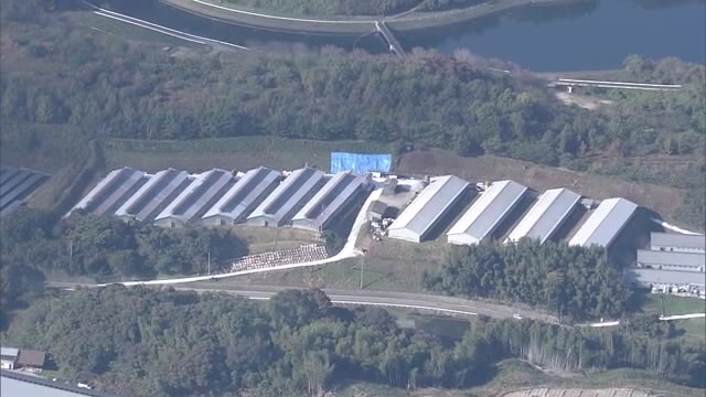 今季３例目の鳥インフルエンザ発生…ニワトリ約１万１０００羽殺処分進める【香川・三豊市】