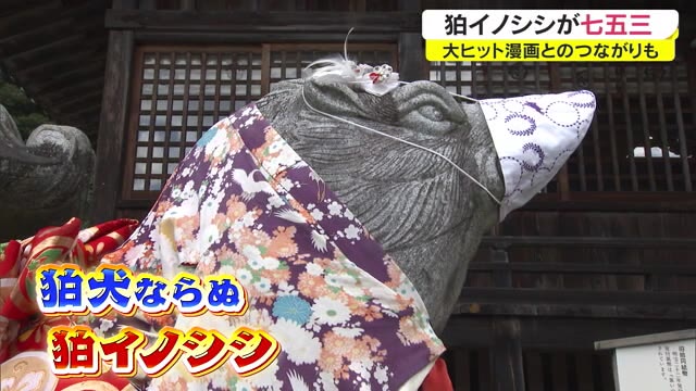 空前の鬼滅ブームにあやかれ！七五三を前に和気神社で狛イノシシが和服姿に…【岡山・和気町】