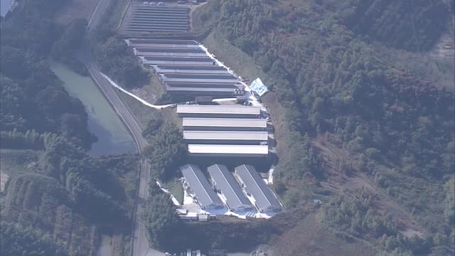 ３例目の鳥インフルエンザ発生した三豊市の養鶏場でニワトリ殺処分終了【香川・三豊市】