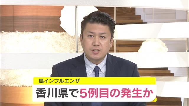 香川県内５例目の鳥インフルエンザか　三豊市の養鶏場で陽性反応【香川・三豊市】