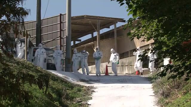 香川県で今季５例目　三豊市で４例目の鳥インフルエンザ【香川・三豊市】