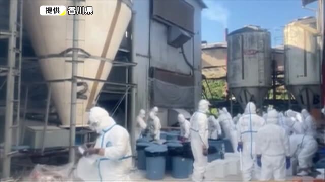また三豊市で…香川県内５例目となる鳥インフルエンザ発生【香川・三豊市】