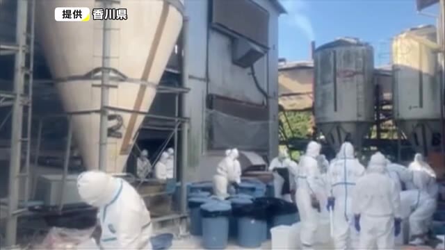 ５例目含む３件は同じ系列会社が経営…５例目の鳥インフルで約７万７０００羽殺処分終了【香川・三豊市】