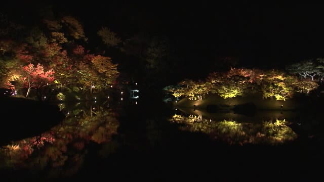 栗林公園で夜のライトアップ…夜間運航の和船から眺める幻想的な風景【香川・高松市】