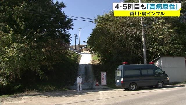 鳥インフル感染経路は野鳥や小動物の可能性大…４例目・５例目ともに病原性の高いウイルス検出【香川】