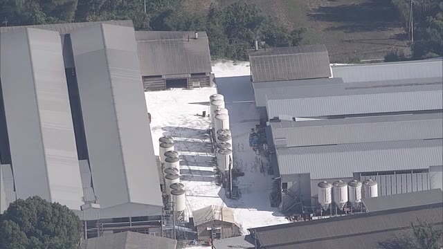 香川県内で８例目　三豊市の養鶏場で鳥インフルエンザを確認【香川・三豊市】