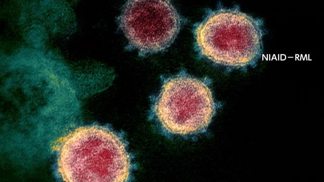 新型コロナウイルス　岡山で13人　香川で2人　新たに感染確認【岡山・香川】