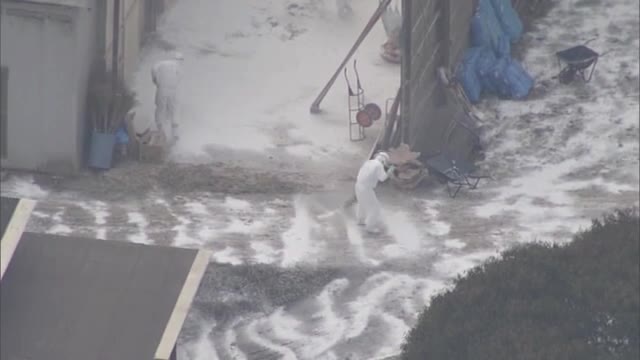 相次ぐ香川の鳥インフルエンザ　養鶏場で殺処分進む【香川・三豊市】