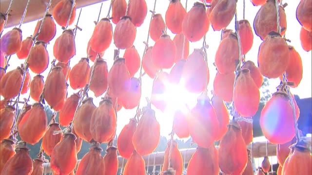 晩秋の風物詩　吊るし柿づくり【岡山・津山市】