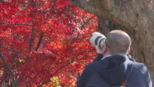 「我慢の３連休」岡山・香川の人出はどうだった？【岡山・香川】