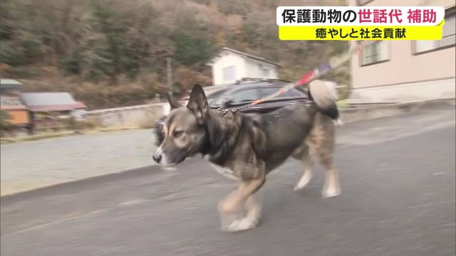 不幸な命を減らせ！湯原温泉の旅館が始めた取り組みとは…【岡山・真庭市】