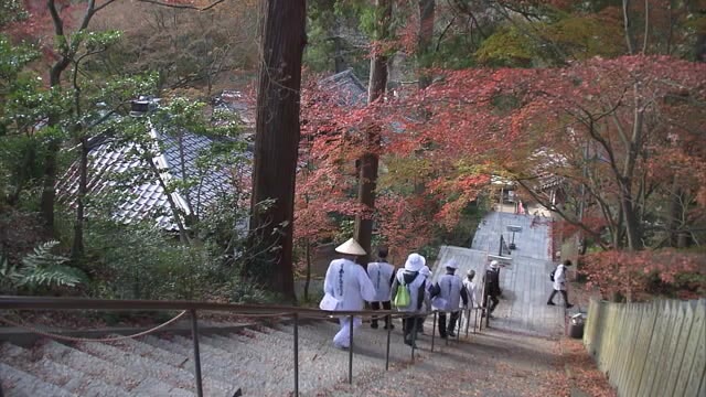 四国霊場第８１番札所　白峯寺の紅葉見頃【香川・坂出市】