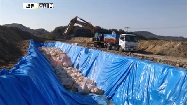 鳥インフルエンザ一部の養鶏場で防疫措置終了【香川】