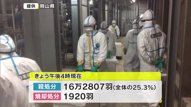 美作市の鳥インフルエンザは高病原性　養鶏場での防疫措置進む【岡山・美作市】