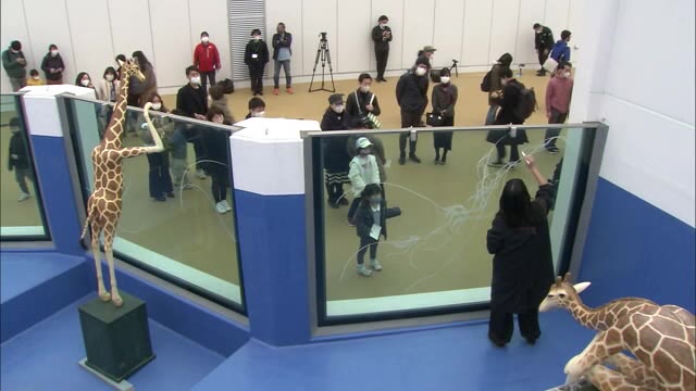 展示中止の水槽利用！四国水族館に新アート【香川・宇多津町】