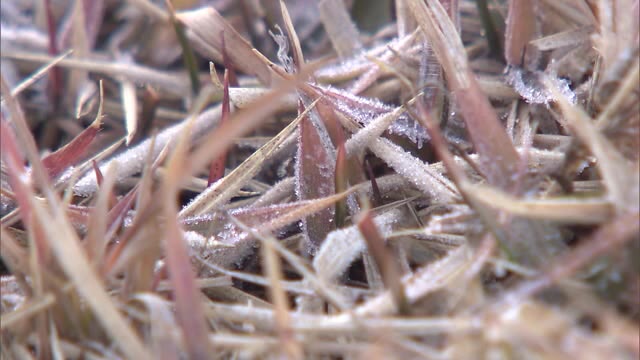 積雪や路面の凍結などに注意…各地で氷点下となる厳しい寒さ【岡山】